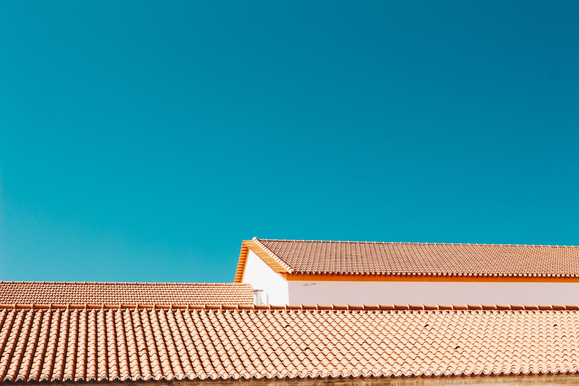 pexels-joão-jesus-925684