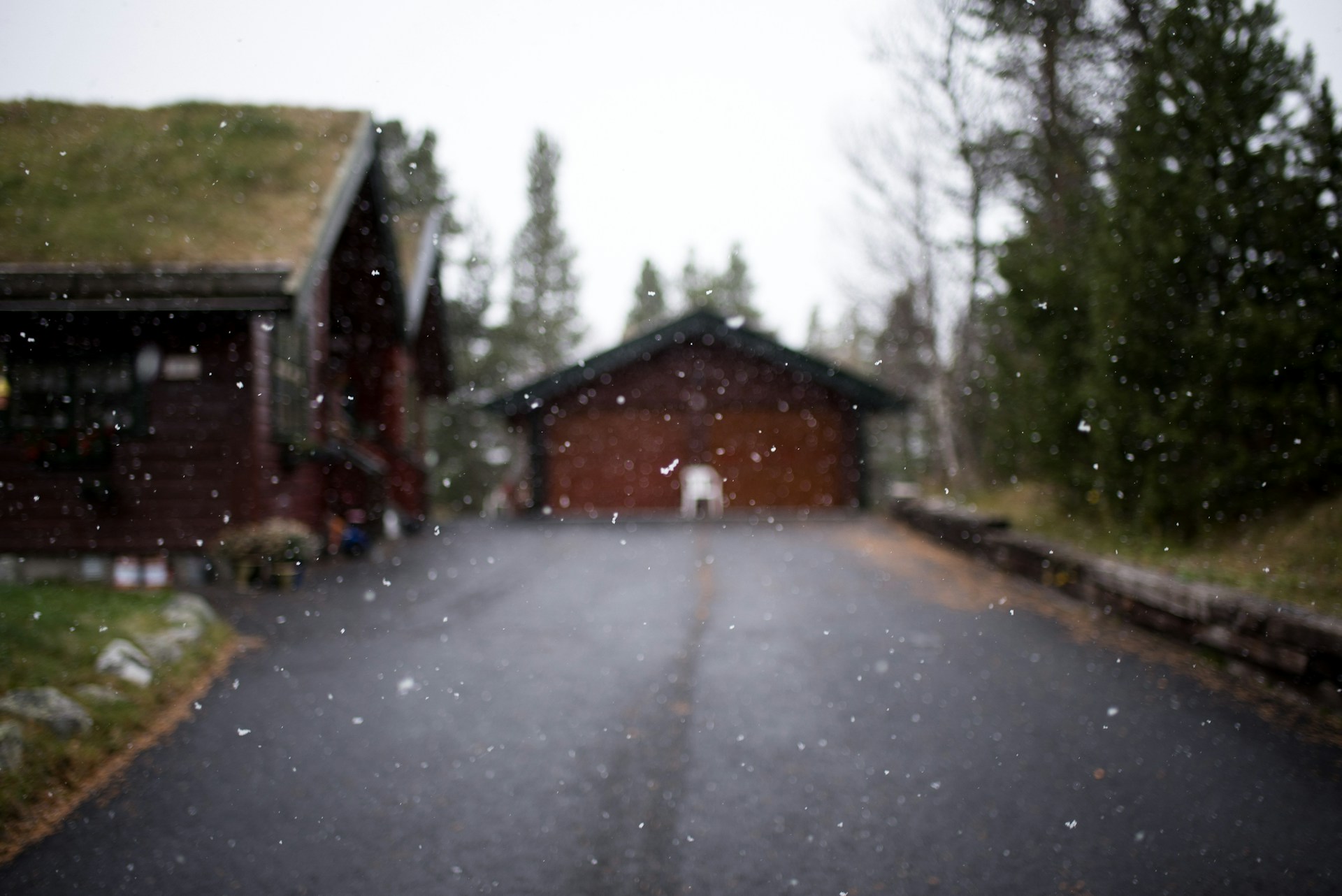 thomas-griesbeck-crt5BbDhO54-unsplash